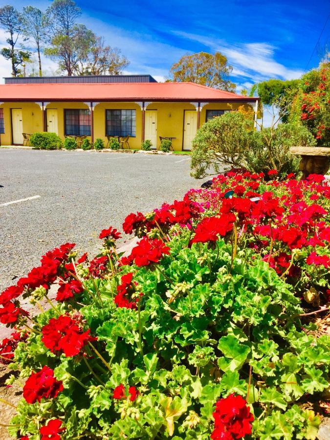 Colonial Motor Inn Pambula Exterior foto